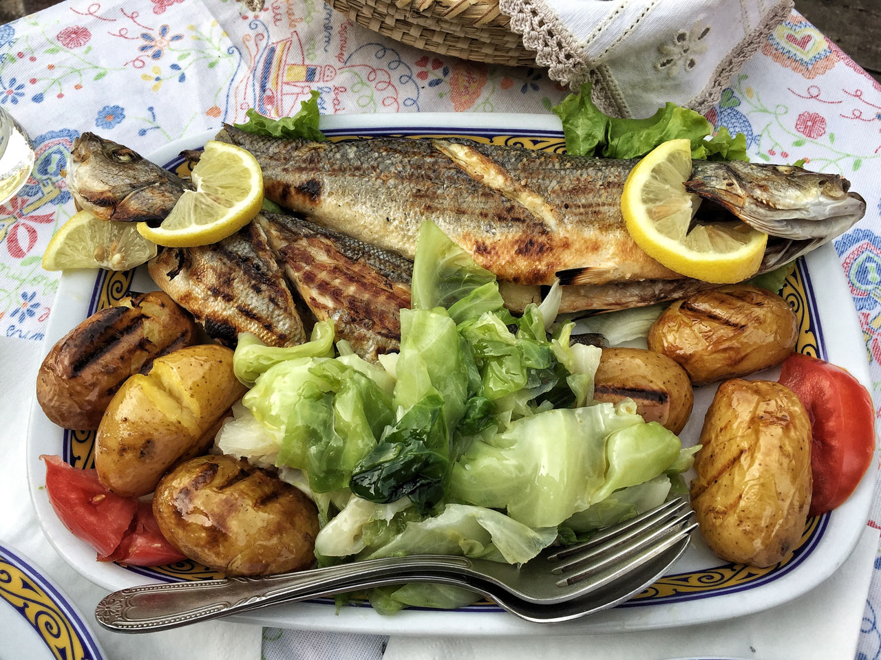 Fisch Campo do geres Portugal