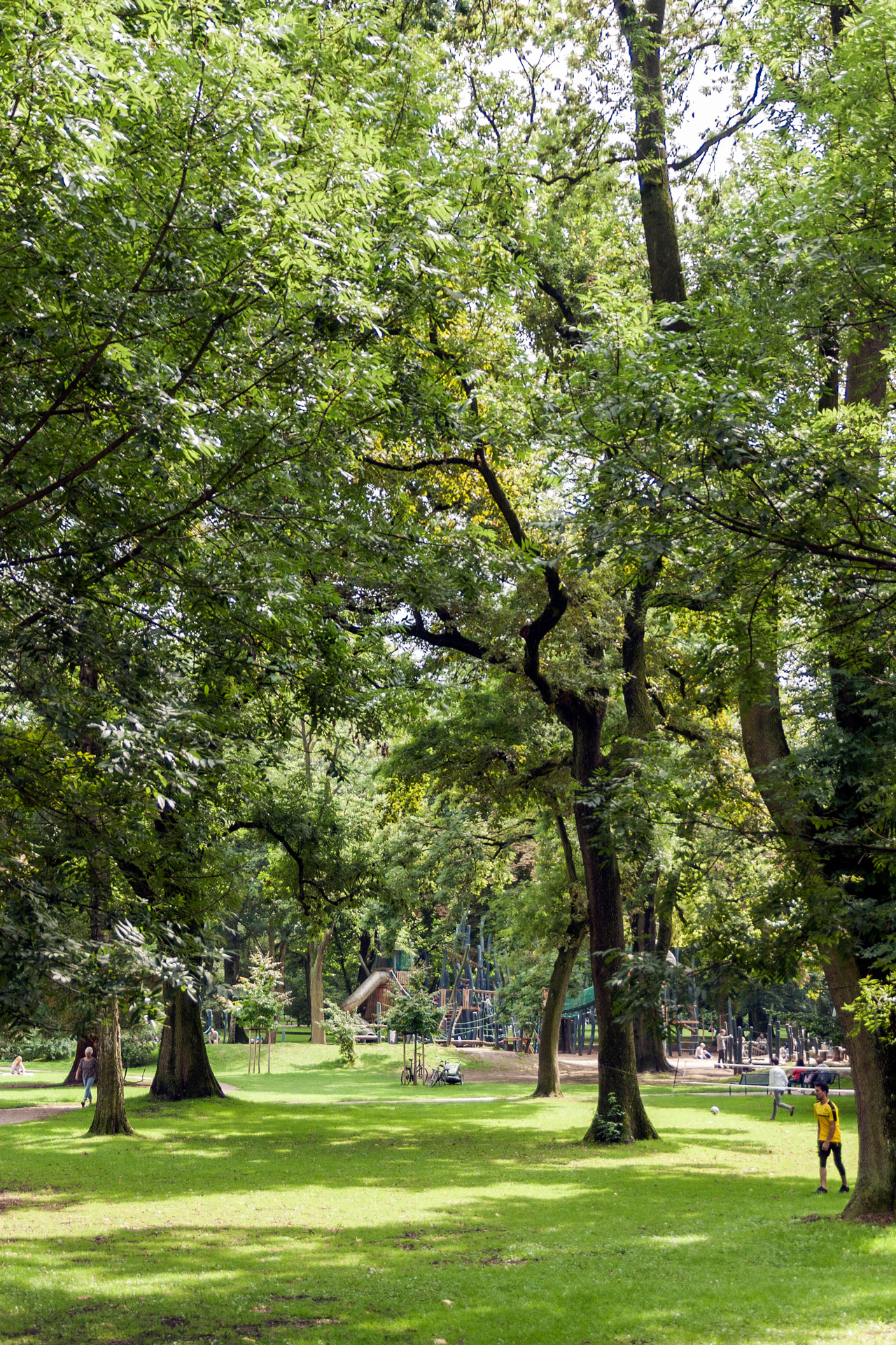 Der schöne Westpark mitten in der Dortmunder City.