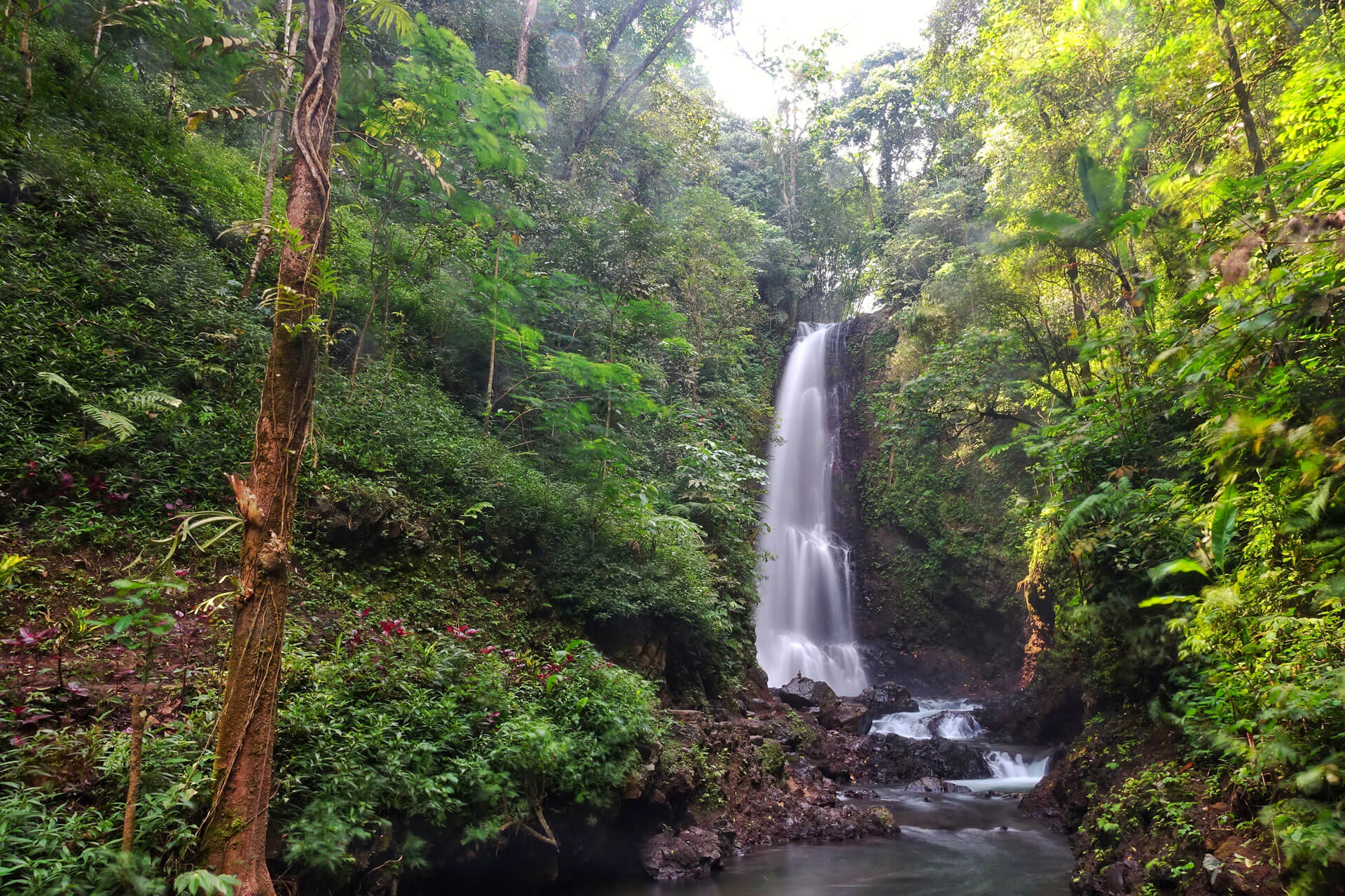 Wasserfall Munduk Waterfall Trail