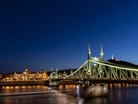 Die Freiheitsbrücke in Budapest bei Nacht